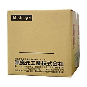 圧倒的人気  【MIYTZO4BGRI】 限定デザイン