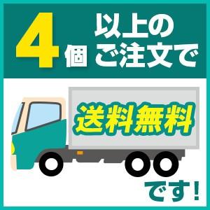 尿石除去剤 小便器 尿石除去剤 黄ばみ落とし 洗浄剤 トレピカワン L 1L 業務用 悪臭対策｜toilet-labo｜02