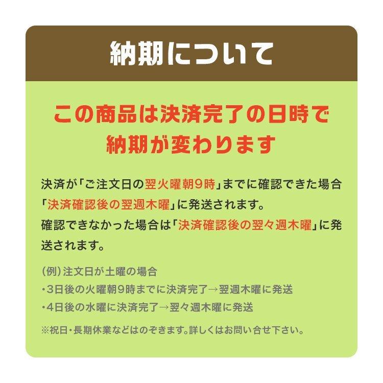 輸入壁紙 おしゃれ ウィリアムモリスMORRIS&Co. 20021127 Middlemore 216697