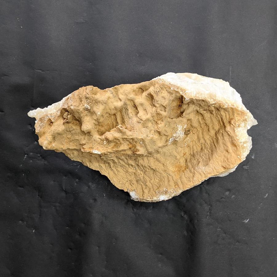 鍾乳石 国産(岡山県新見市) / 長さ25cm・4.3kg 天然石 結晶 銘 鍾乳石 国産(岡山県新見市) / 長さ25cm・4.3kg 天然石 結晶 銘