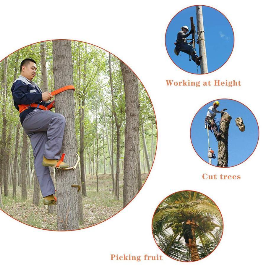 木登り器 木登り道具 木登り靴 ツリークライミングアーティファクトフィートバックル 使いやすい 600Model｜toistore｜02