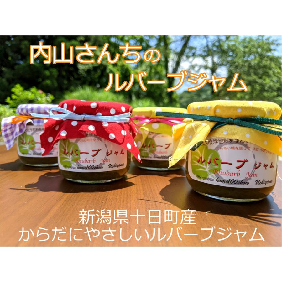 ルバーブジャム 190g 瓶 添加物不使用 新潟県 十日町産 内山さん 手作り からだ