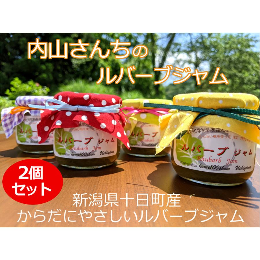 ルバーブジャム 190g 2瓶セット 添加物不使用 新潟県 十日町産 内山さん 手作り からだにやさしいジャム てんさい糖使用 Rubb Uchi J02 十日町ポスト 通販 Yahoo ショッピング