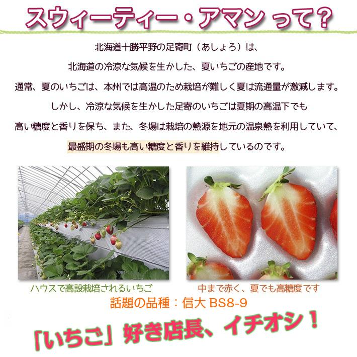 いちご 冷凍いちご 3kg（250g×12） 北海道産 十勝産 スウィーティーアマン スムージー ジャム シャーベット いちごけずり JAあしょろ 信大BS8-9｜tokachi-berryfarm｜06