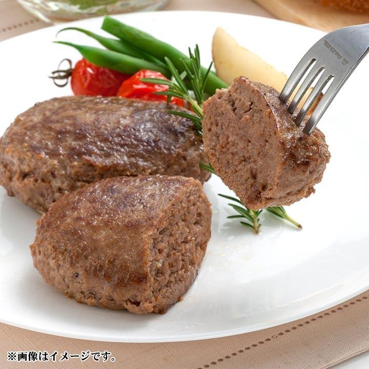 北海道産牛 牛肉 牛とろフレーク200g＆まるトマハンバーグ2枚セット　贈答 ギフト お土産 プレゼント 北海道｜tokachi-slowfood｜06