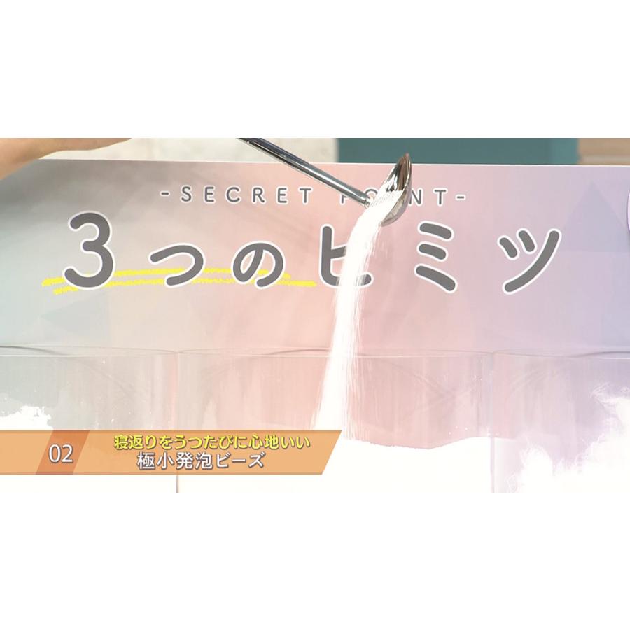 もっちリフィット夢枕プレミアム(枕2個・枕カバー2枚・洗濯