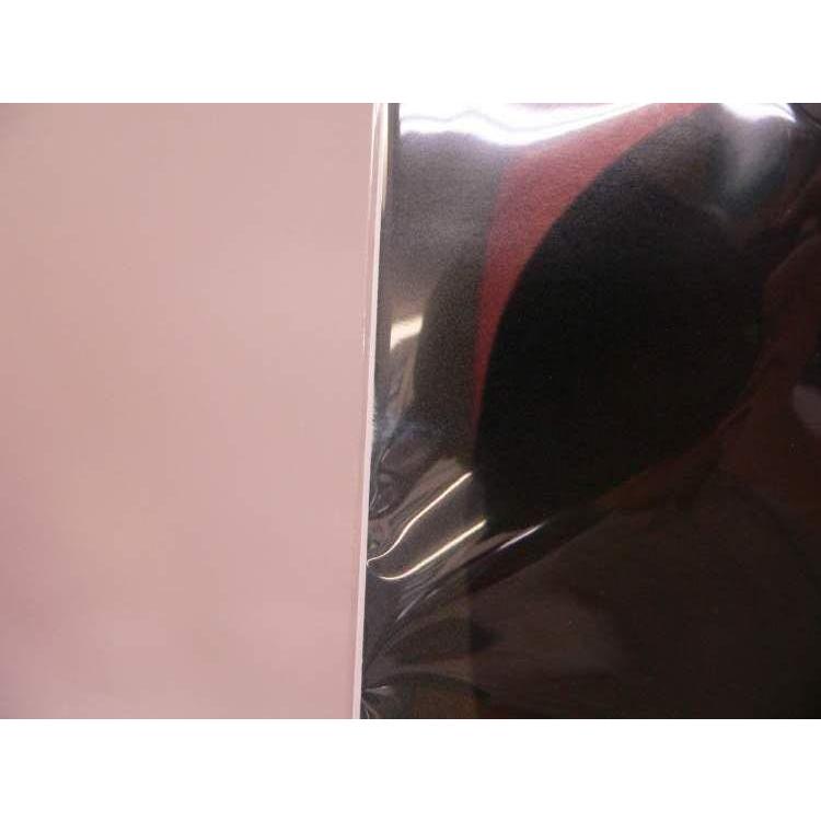 ポスター） 斉藤由貴 カレンダーポスター（1〜6月）／B2サイズ【中古