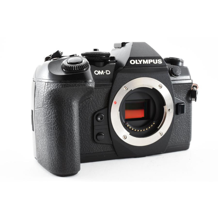 JINTU Pro Multi-Power Hand Battery Grip Pack for Olympus OM-D E-M1 OMD