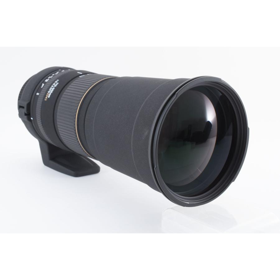 SIGMA APO 170-500mm F5-6.3 DG for PENTAX ペンタックス