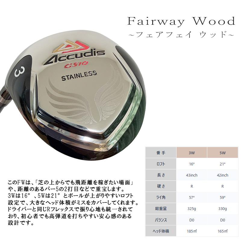 ゴルフクラブセット メンズ 左利き用 レフティ アキュディス GS10