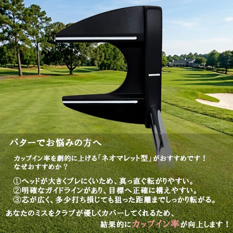 ゴルフクラブセット メンズ 左利き用 レフティ アキュディス GS10