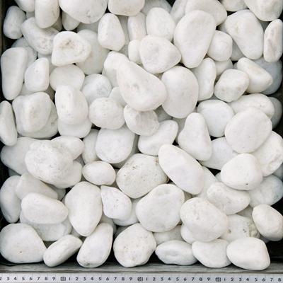 ポイント5倍♪2/22限定!] 白玉石 50mm 10kg / 砂利 庭 おしゃれ 白 石