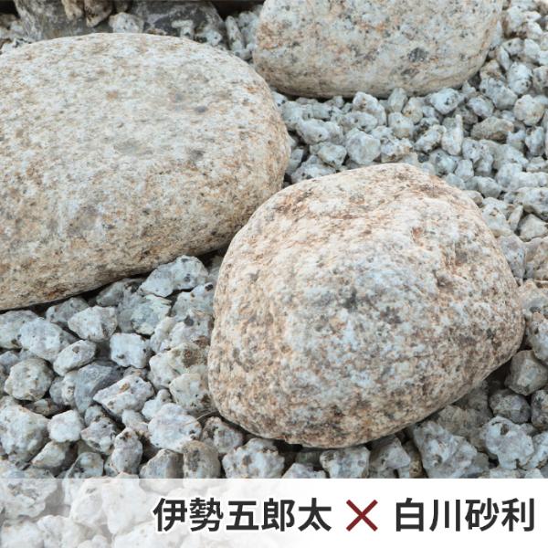 伊勢五郎太 5-6寸(約150-180mm) 900kg(18kg×50箱) / 大量 石 庭