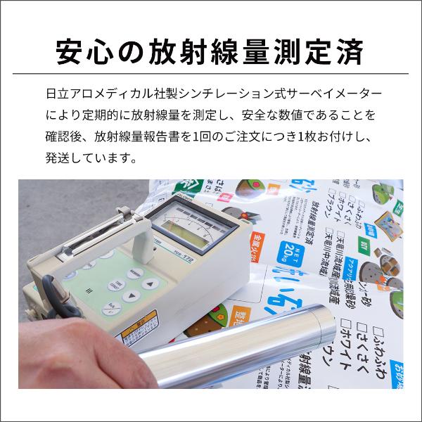 砂場用 ふわふわあそび砂 200kg (20kg×10袋) 放射線量報告書付 / 砂 庭 diy 砂場 種類 砂場用砂 砂遊び 砂遊び用砂 公園 庭遊び |  | 16