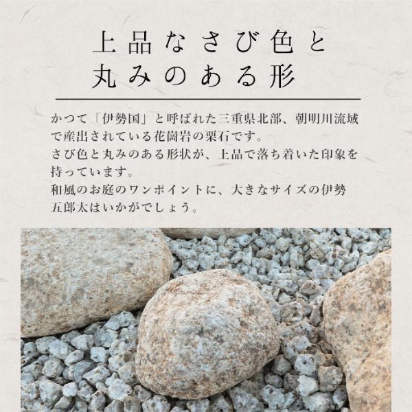 伊勢五郎太 5-6寸(約150-180mm) 540kg(18kg×30箱) / 庭 石 大量 伊勢