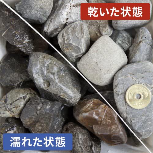 天竜川流域産 砂利 20-40mm 5kg / 庭 砂利 おしゃれ 砂利敷き 石 diy ガーデニング 園芸 庭石 敷く 化粧 敷砂利 大粒 グレー 5キロ |  | 01