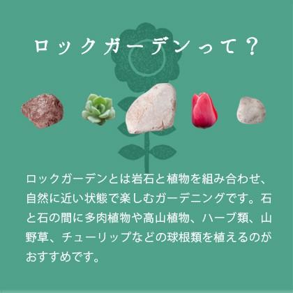 ナチュラルピンクロック 50-150mm 18kg [在庫限り] / 庭 石 ピンク