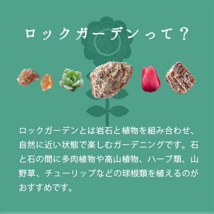 クォーツロック 50-150mm 360kg (18kg×20箱) / 庭 石 おしゃれ 庭石