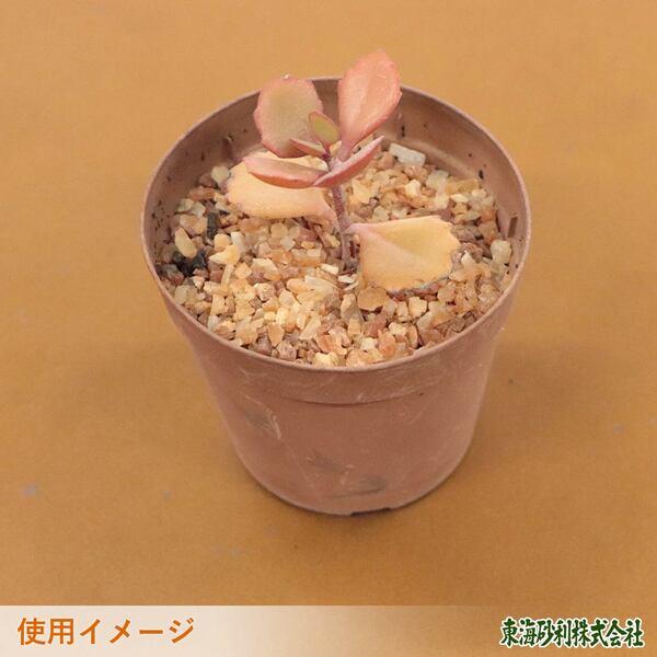 アンバークォーツ 1-5mm 10kg / 砂利 石 おしゃれ 庭 砂利敷き 敷石 庭石 クォーツ 茶色 ブラウン ベージュ オレンジ 細かい 砂利石 |  | 10