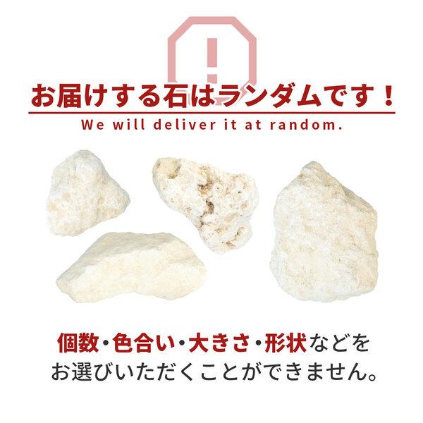 琉球石灰岩 50-200mm 100kg (10kg×10箱) / 庭 置き石 おしゃれ 庭石 縁石 オシャレ 大量 100キロ ガーデニング 園芸 diy 洋風 |  | 11