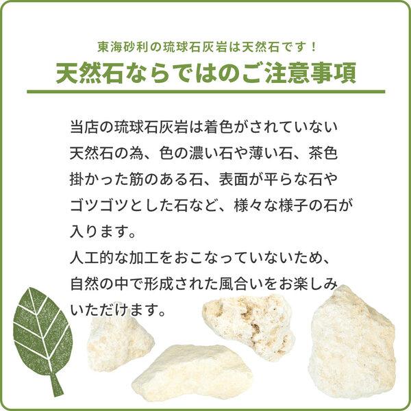 琉球石灰岩 50-200mm 100kg (10kg×10箱) / 庭 置き石 おしゃれ 庭石 縁石 オシャレ 大量 100キロ ガーデニング 園芸 diy 洋風 |  | 12