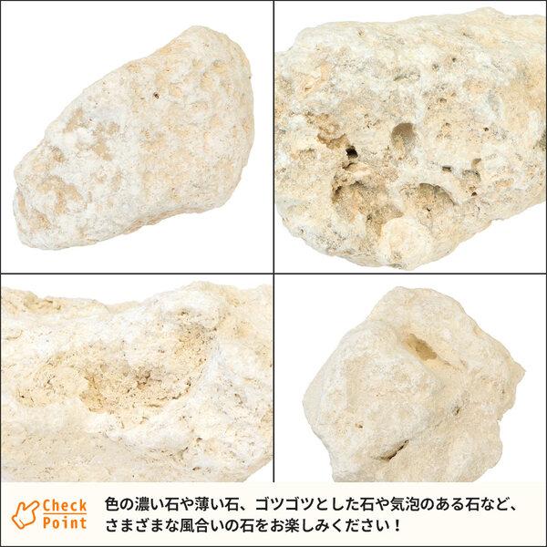 琉球石灰岩 50-200mm 100kg (10kg×10箱) / 庭 置き石 おしゃれ 庭石 縁石 オシャレ 大量 100キロ ガーデニング 園芸 diy 洋風 |  | 09