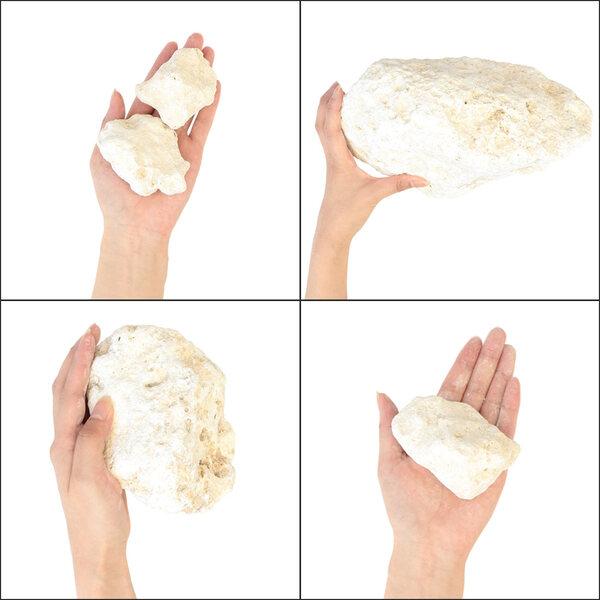 琉球石灰岩 50-200mm 50kg (10kg×5箱) / 庭 石 おしゃれ ロックガーデン diy 置き石 ガーデニング 栗石 割栗 種類 石灰 石灰石 |  | 02