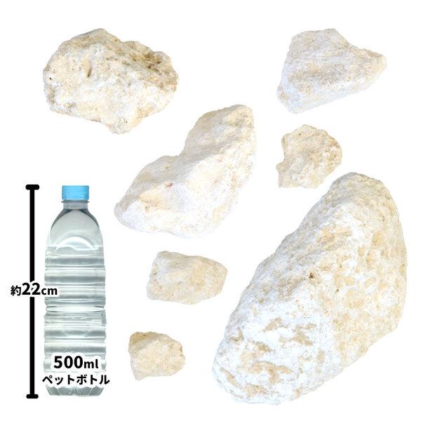 琉球石灰岩 50-200mm 10kg / 庭石 庭 おしゃれ 石 置き石 白 ベージュ 種類 石灰岩 ロックガーデン 洋風 花壇 縁石 置き方 置くだけ 沖 |  | 01