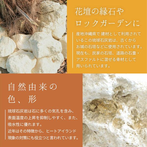 琉球石灰岩 50-200mm 10kg / 庭石 庭 おしゃれ 石 置き石 白 ベージュ 種類 石灰岩 ロックガーデン 洋風 花壇 縁石 置き方 置くだけ 沖 |  | 05