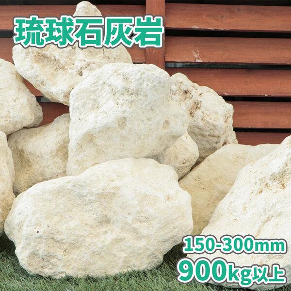 琉球石灰岩 150-300mm 900kg (18kg以上×50箱) / 大量 庭石 おしゃれ 庭 ガーデン 石 ロック ストーン ガーデニング diy 園芸 ドライガ | 