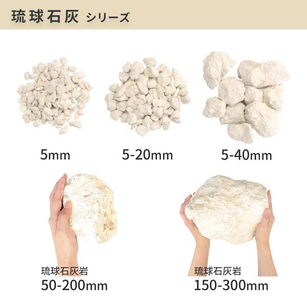 琉球石灰 5mm 900g [ゆうパケット:代引,日時指定不可] / 砂利 庭 おしゃれ 石 庭石 販売 小粒 砂利敷き 種類 石灰岩 ガーデン diy 小石｜tokaijari｜09