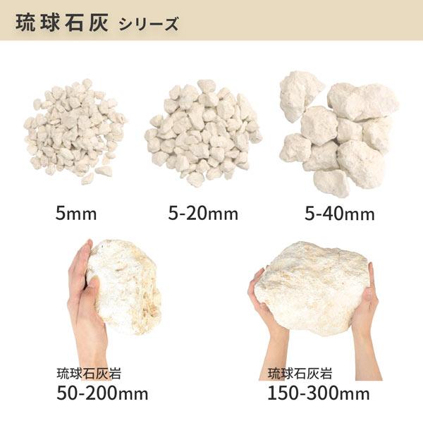 琉球石灰岩 40㎝×40㎝×5㎝ 琉球石灰 5-40mm 18kg / 庭 砂利 おしゃれ diy 石 庭石 種類 化粧砂利