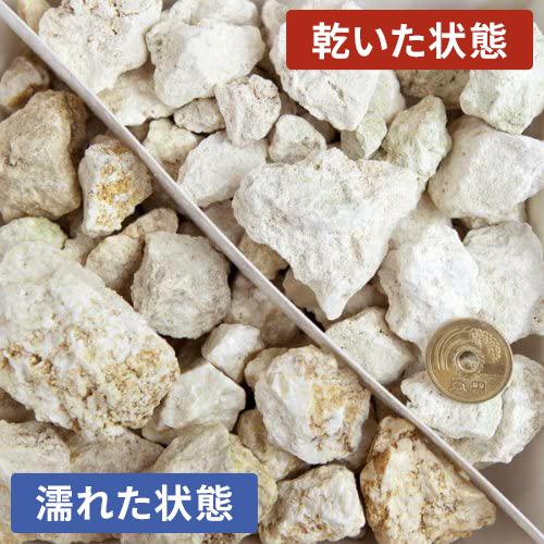 ポイント5倍♪22日限定!] 琉球石灰 5-40mm 1500g [1000円クーポン付
