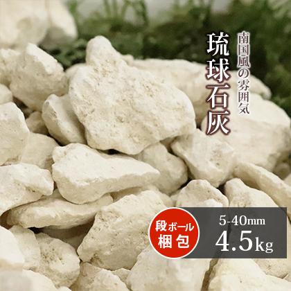 琉球石灰岩 40㎝×40㎝×5㎝ 琉球石灰 5-40mm 4.5kg / 砂利 少量 石 庭石 おしゃれ 種類 石灰岩