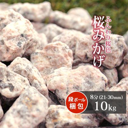 古城　10kg  御家庭 営業所止め 沓脱石 白御影石 3尺4面ビシャン G603 900x300xH250