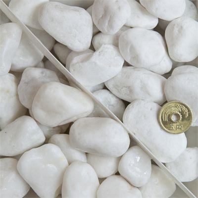 白玉石 30mm 10kg / 砂利 庭 おしゃれ 石 白 diy ガーデニング