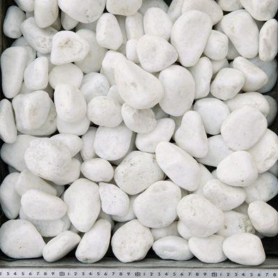 園芸用品　白玉石　玉砂利　50kg～ TAIKOH 高級白玉石 白仙 7厘 2-4mm 10kg 化粧砂利 ホワイト 白 水磨き