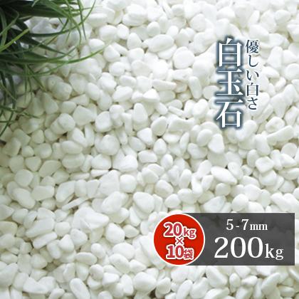 敷石★天然石★庭石★玉石★DIY★300×300×10㎜★シート11枚★送料込 白玉石 5-7mm 200kg (20kg×10袋) / 砂利 白 庭 石 おしゃれ diy