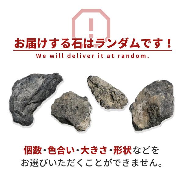 植木鉢　庭石　ロックガーデン　岩　溶岩石　オブジェ 植木鉢 庭石 ロックガーデン 岩 溶岩石 オブジェ - メルカリ