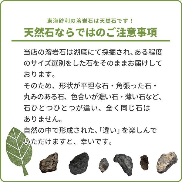 溶岩石 ミックスブラック 100-200mm 8kg以上 / 庭 石 おしゃれ ロック