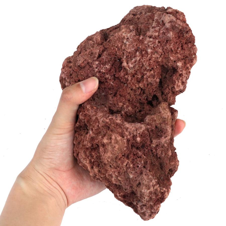 ポイント5倍!11/22限定!] 溶岩石 レッド 100-200mm 70kg (7kg以上×10箱