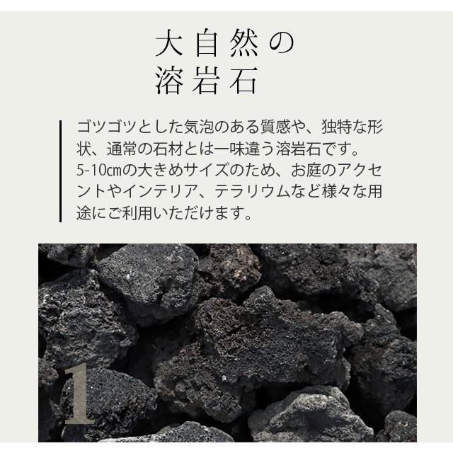 人気商品 ブラック 溶岩石 ロックガーデンに 黒色の溶岩石です 50 100mm 送料無料 10kg 50箱 500kg レイアウト用品 Einherjarproject Net