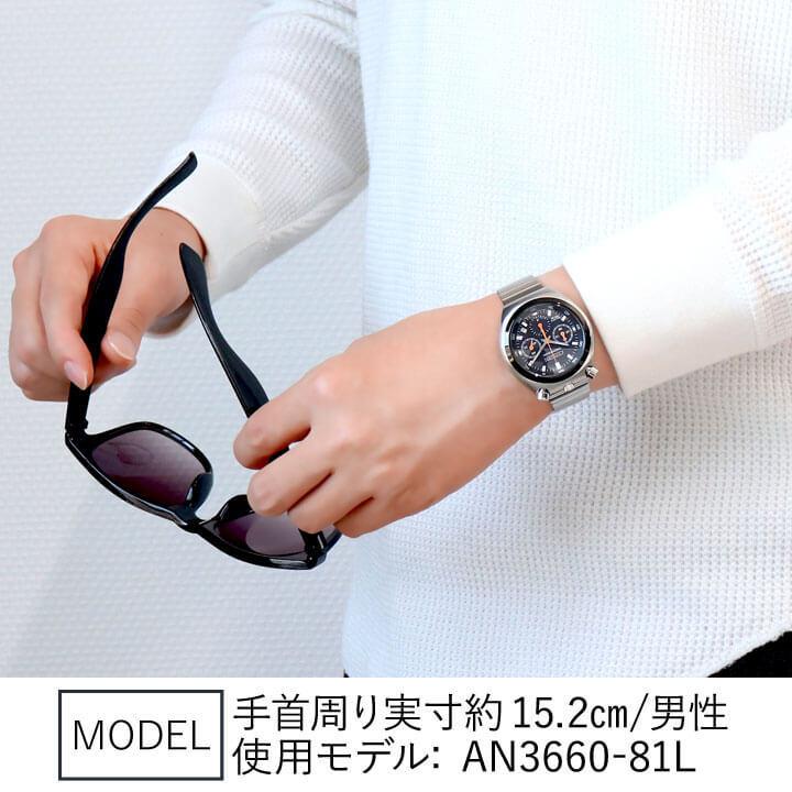 シチズン 腕時計 citizen メンズ 時計 シチズンコレクション レコードレーベル ツノクロノ 限定 AN3660-81L 正規品 | RECORD LABEL | 01