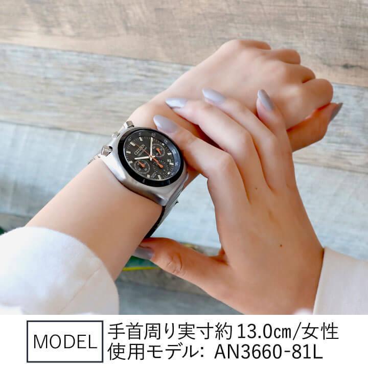 シチズン 腕時計 citizen メンズ 時計 シチズンコレクション レコードレーベル ツノクロノ 限定 AN3660-81L 正規品 | RECORD LABEL | 02