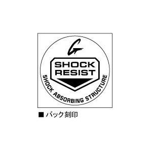 G-SHOCK ポイント最大6倍 Gショック CASIO カシオ DW-5600P-9JF