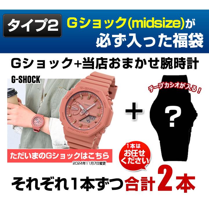 BABY-G 福袋 2025 レディース ブランド スポーツ 腕時計 2本 BABY-G 福袋 2025 レディース ブランド スポーツ 腕時計 2本
