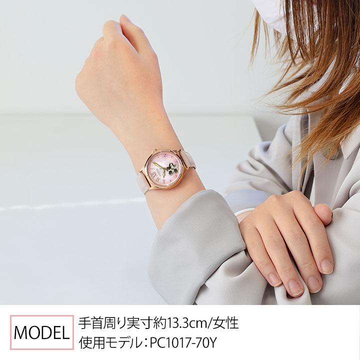 CITIZEN COLLECTION 替えバンド付き 限定モデル シチズン コレクション