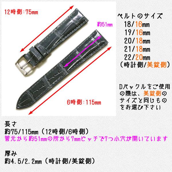 CASSIS カシス アドナラカウチック シャイニー アリゲーター ワニ革 裏