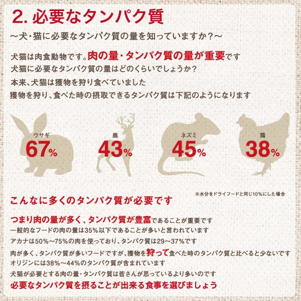 ORIJEN（ペット用品） カナダ産 オリジン（ORIJEN） パピー 6kg