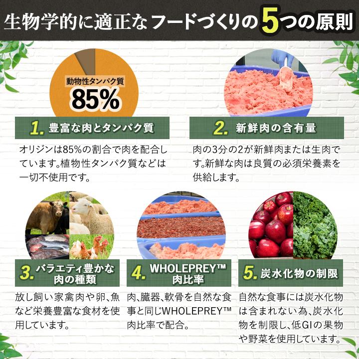 カナダ産　オリジン（ORIJEN） シニア　11.4ｋg　【国内正規品】　ドライドッグフード | ORIJEN（ペット用品） | 05